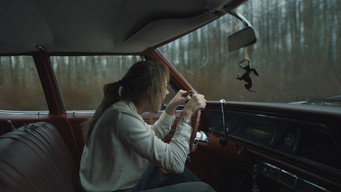 #6 Довгоніг