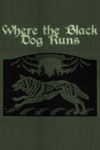 Where the Black Dog Runs (1970)