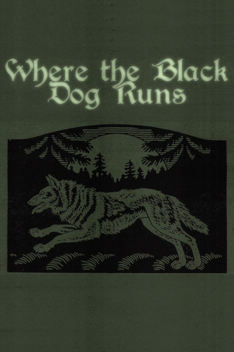 Where the Black Dog Runs (2026)