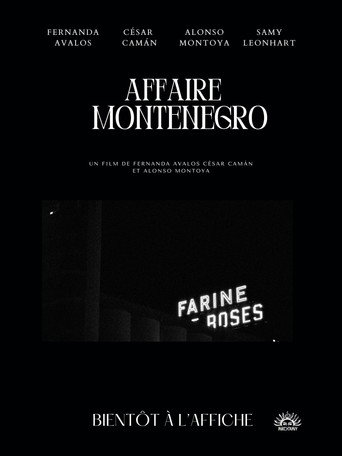 The Montenegro Affair (1970)