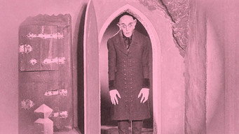 Galeria 4 - Nosferatu