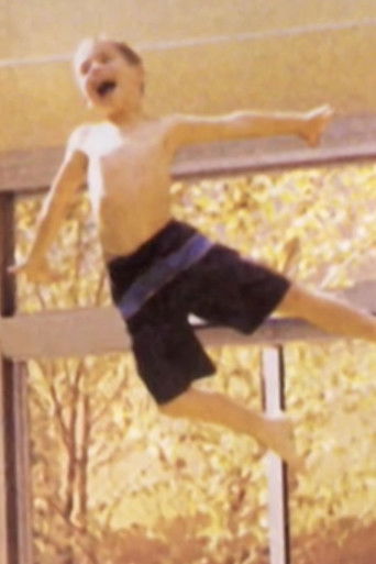 The Boy in the Air poster