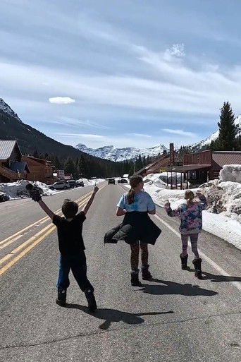 Wondrous Night: Cooke City Under Starlight poster