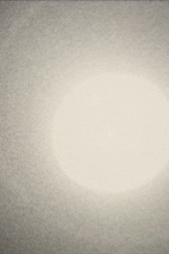 Studio Sunrise (2017)