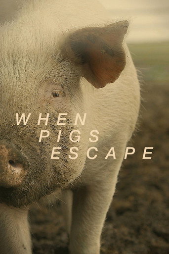 When Pigs Escape galeri 3
