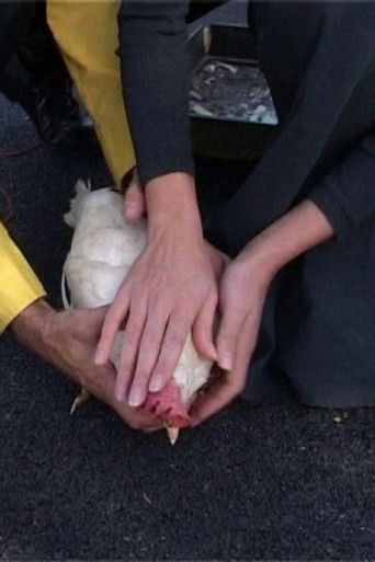 La fortuna verrà da te (Spectrum #2)