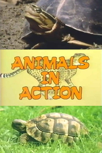 The Turtle Family (1988)