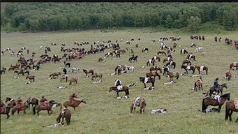 Episode 43 — Episode 43