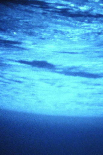 The Dark Room (2001)