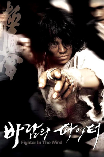 Cartell de 바람의 파이터