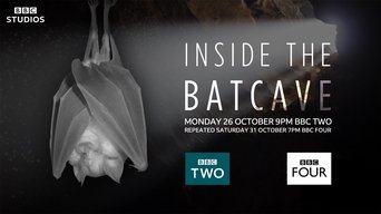 Inside the Bat Cave - S1E01