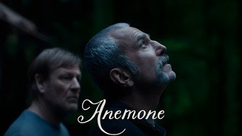 Galeria 1 - Anémona