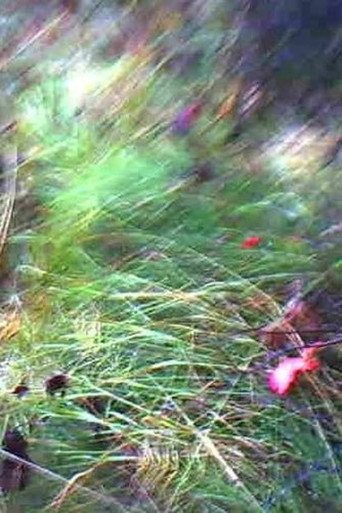 A Flower of Forgetfulness (2026年)のポスター画像 - FindKey