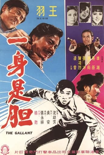 Poster of 一身是胆