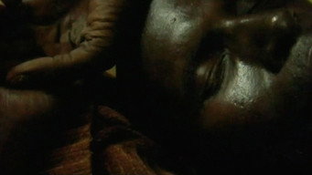 SIDA (2006)