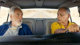 Cheech & Chong's Last Movie (2024)