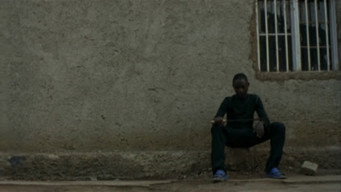 День звільнення (2007)