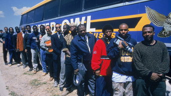 #7 Get on the Bus