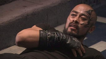 Episode 29 — Episode 29