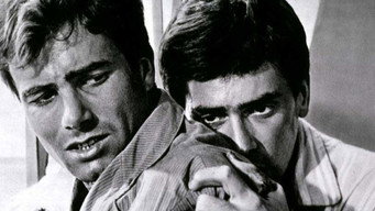 Day by Day, Desperately (1961)
