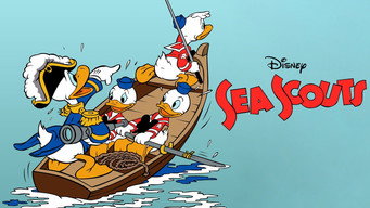#4 Sea Scouts