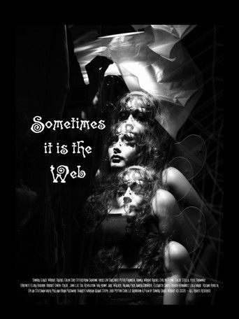 Cartell de Sometimes it is the Web