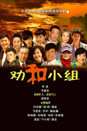โปสเตอร์ 劝和小组 (2013)
