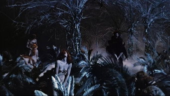 #6 The Antichrist