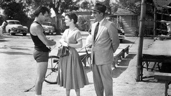 The Square Jungle (1955)