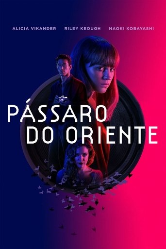 poster filme