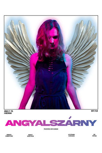 Angyalsz&aacute;rny (1970)