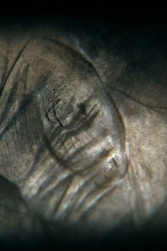 Camera obscura (2015)