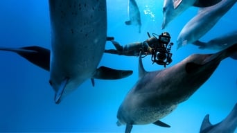 Diving with Dolphins (2020)