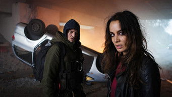 Galeria 2 - Autodestrucción