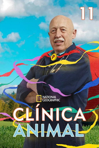 Temporada 11
