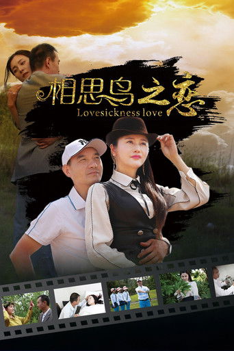 相思鸟之恋 poster