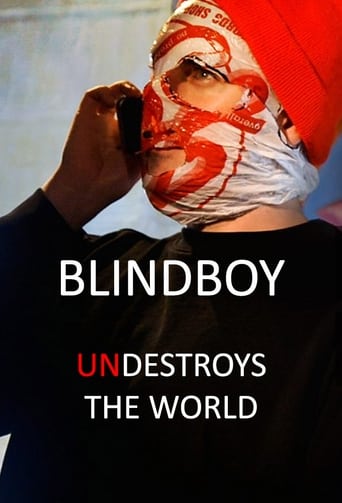Poster of Blindboy Undestroys the World