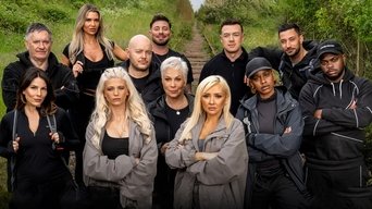 Celebrity Hunted (2017- )