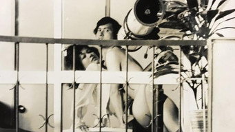 Полуденна афера: заднє вікно (1972)