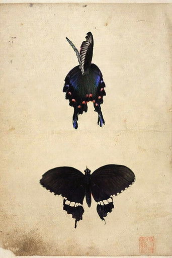 Butterfly poster