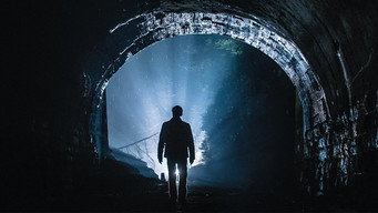 Galeria 4 - Se ocultan en la oscuridad