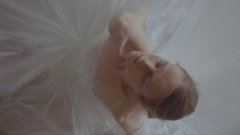 Escena 2 de Delimitation