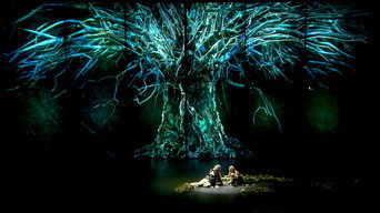 Die Walküre (2009)