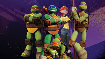 Teenage Mutant Ninja Turtles backdrop 9