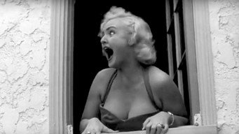 The Hideous Sun Demon (1959)