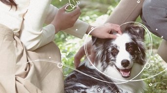 Pet Me Pick Me - S1E01