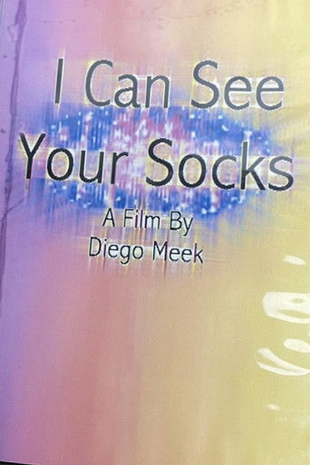 I Can See Your Socks poster
