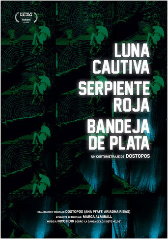 Póster del título