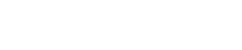 National Treasure logo