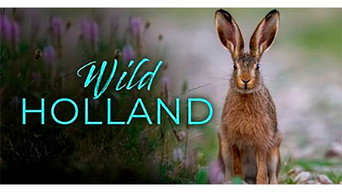 Wild Holland (2017)